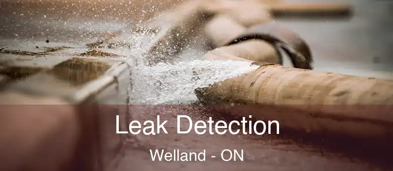 Leak Detection Welland - ON